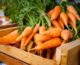 Foods to boost your brainpower